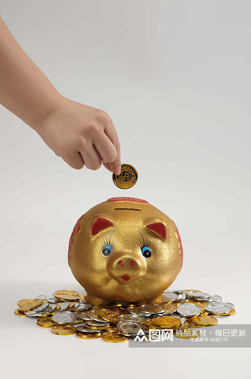 金猪存钱罐金币银币货币堆金融贸易摄影图片素材