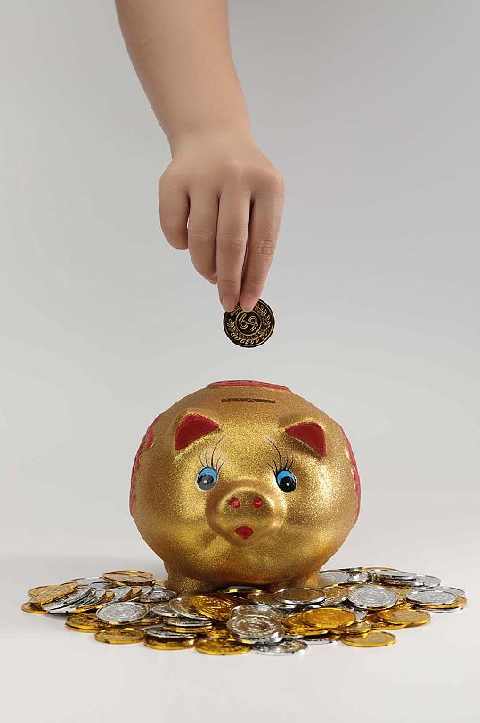 金猪存钱罐金币银币货币堆金融贸易摄影图片
