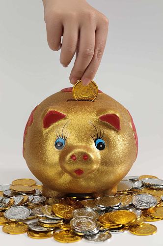 金猪存钱罐金币银币货币堆金融贸易摄影图片
