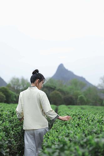 新中式国风茶园采茶茶道茶文化人物摄影图