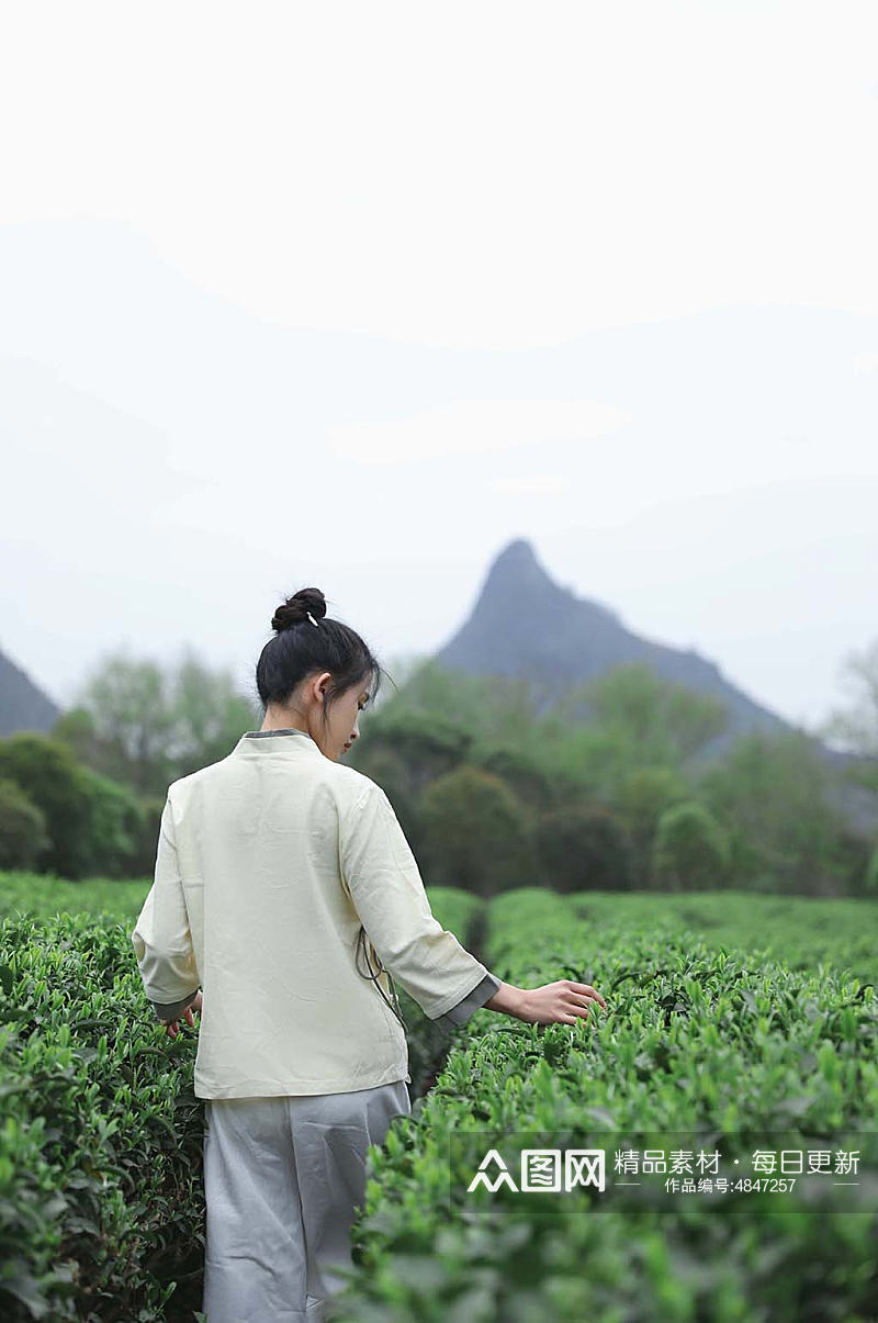新中式国风茶园采茶茶道茶文化人物摄影图素材