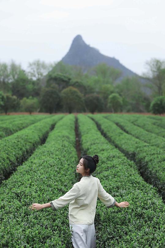 新中式国风茶园茶道茶文化人物摄影图