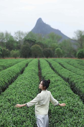 新中式国风茶园茶道茶文化人物摄影图