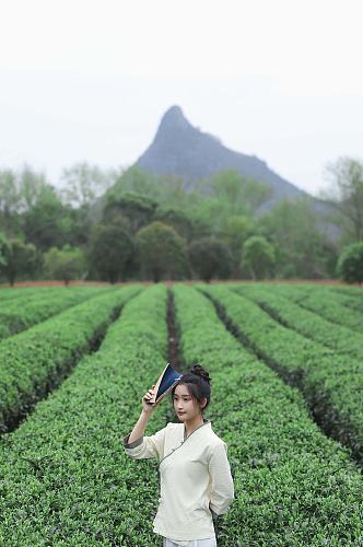 新中式国风茶园茶道茶文化人物摄影图