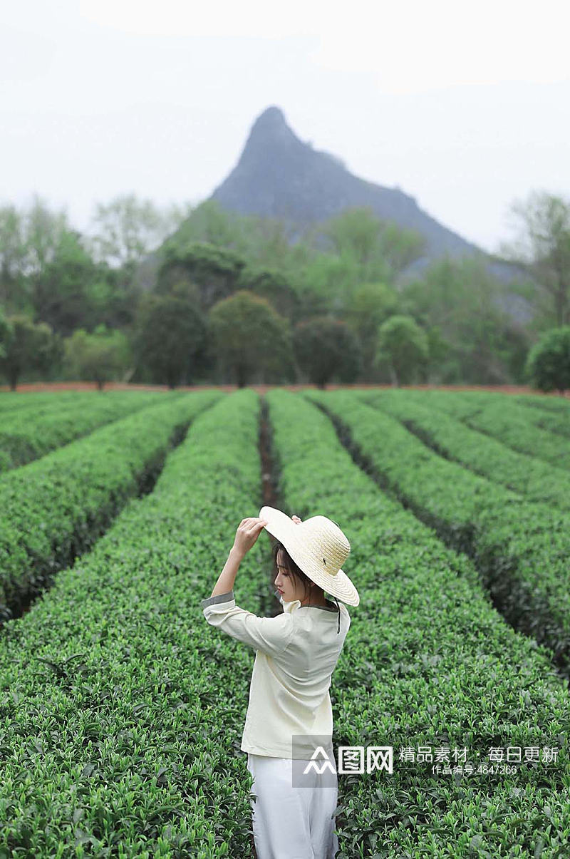 新中式国风茶园茶道茶文化草帽人物摄影图素材