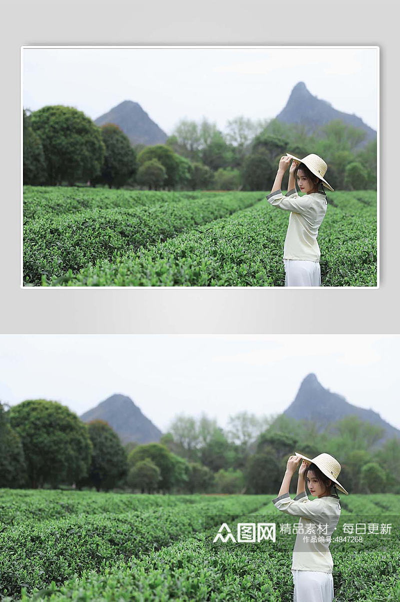 新中式国风茶园茶道茶文化草帽人物摄影图素材