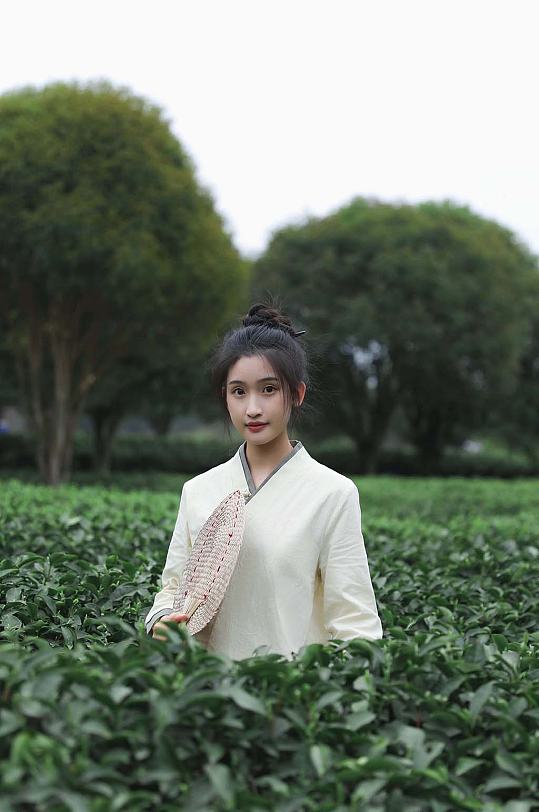 新中式国风茶园茶道茶文化人物摄影图