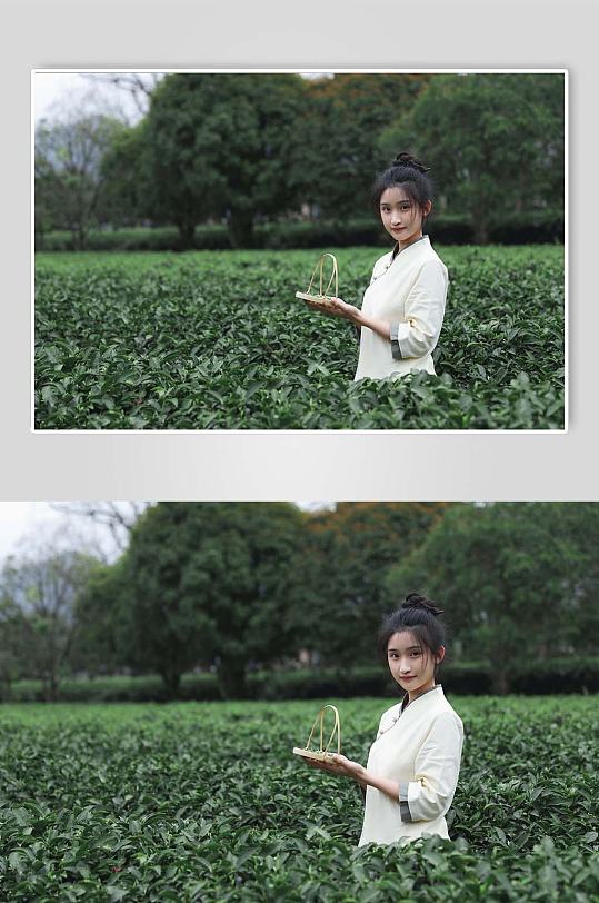 新中式国风采茶茶园茶道茶文化人物摄影图