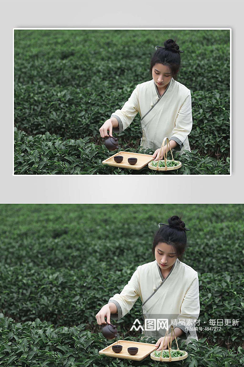 采茶少女春季茶园茶叶沏茶人物摄影图片素材
