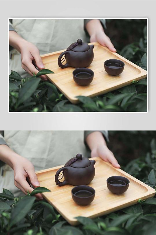 春季茶园采茶茶文化茶叶特写人物摄影图片