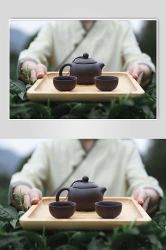 春季茶园采茶茶文化茶叶特写人物摄影图片