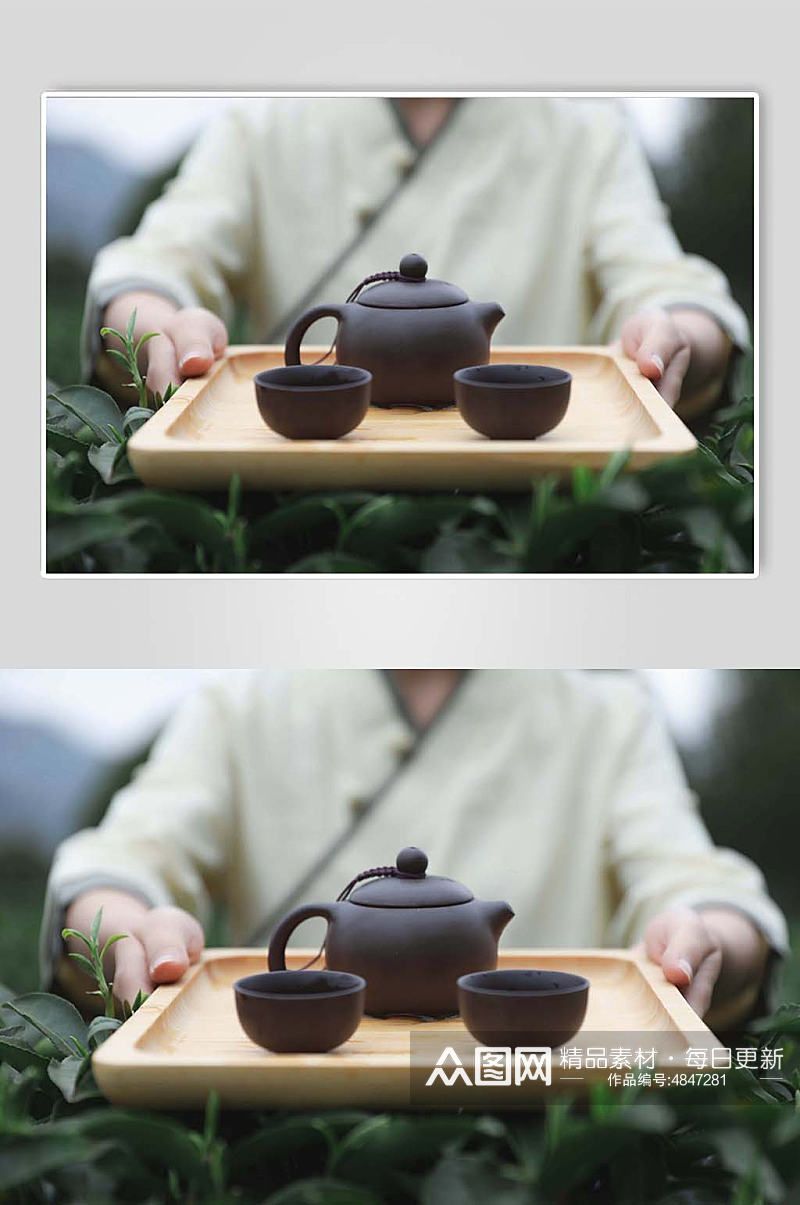 春季茶园采茶茶文化茶叶特写人物摄影图片素材