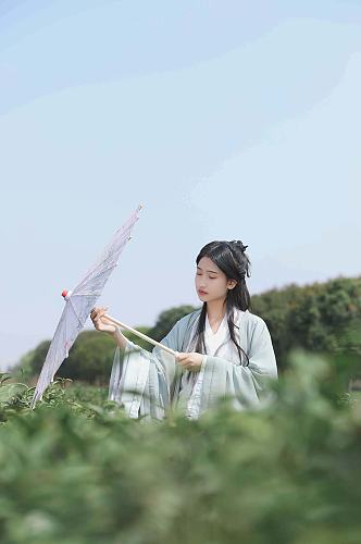 漫步春季茶园汉服少女撑油纸伞人物摄影图