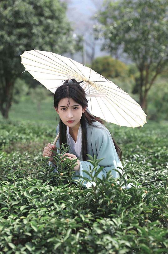 漫步春季茶园采茶汉服少女撑油纸伞人物摄影图