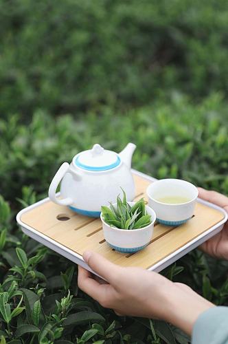 春季茶园沏茶茶文化茶叶特写人物摄影图片
