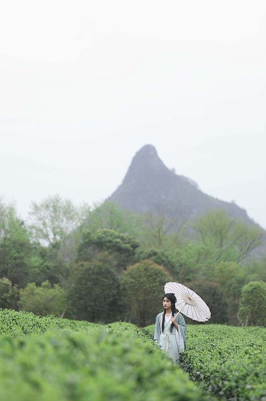 漫步春季茶园汉服少女撑油纸伞人物摄影图