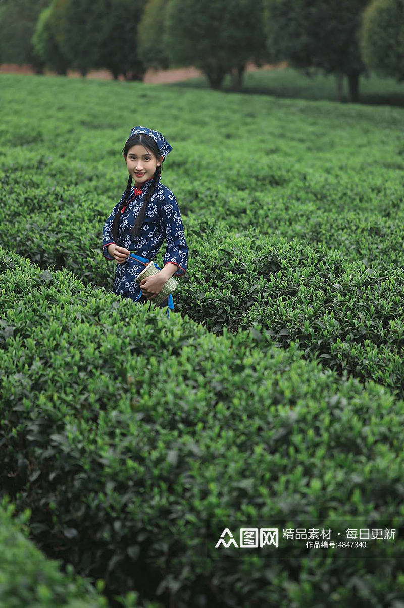 小清新茶叶春季茶园采茶少女人物摄影图素材