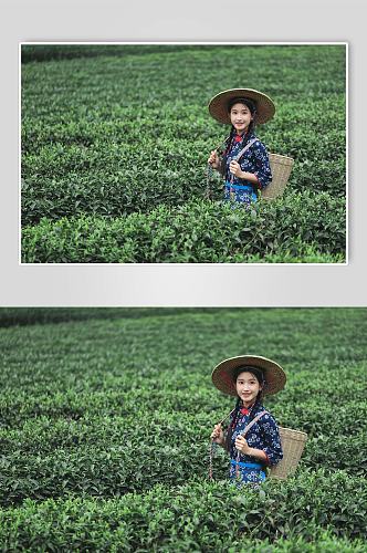 小清新茶叶春季茶园采茶少女人物摄影图