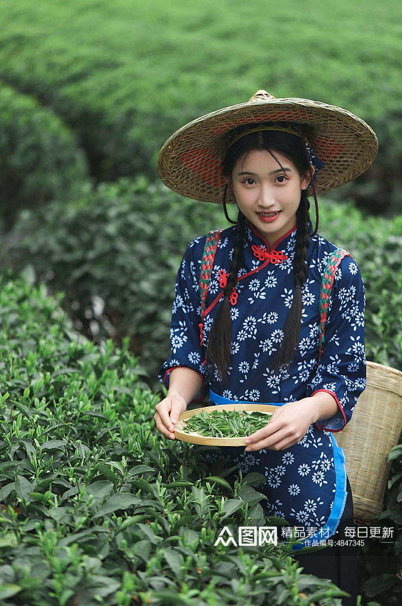 小清新茶叶春季茶园采茶少女人物摄影图素材