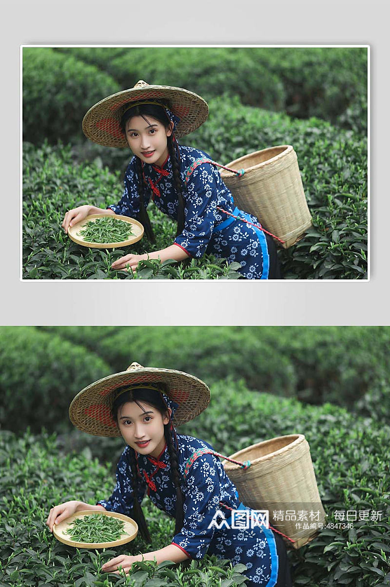 小清新茶叶春季茶园采茶少女人物摄影图素材