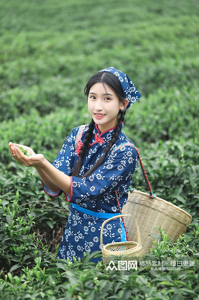 小清新茶叶春季茶园采茶少女人物摄影图素材