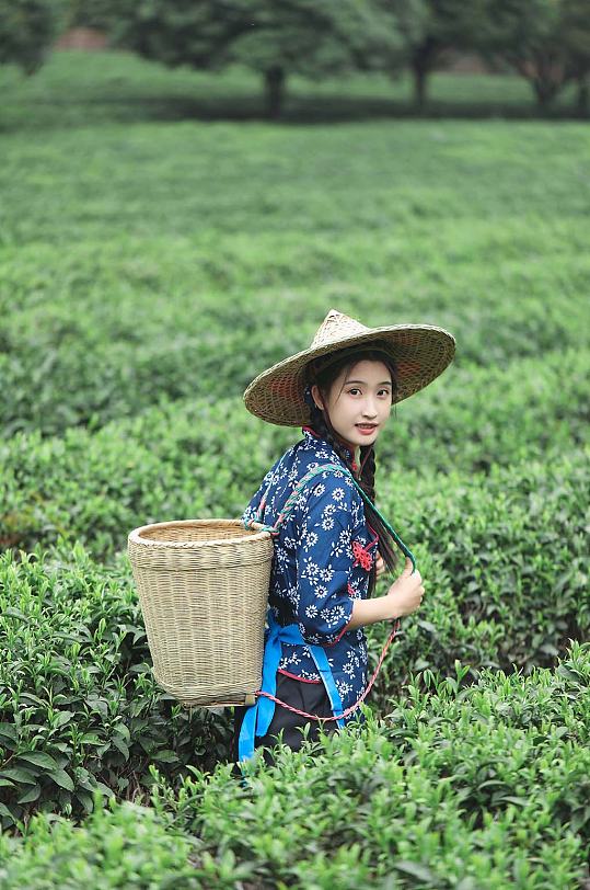 小清新茶叶春茶春季茶园采茶少女人物摄影图