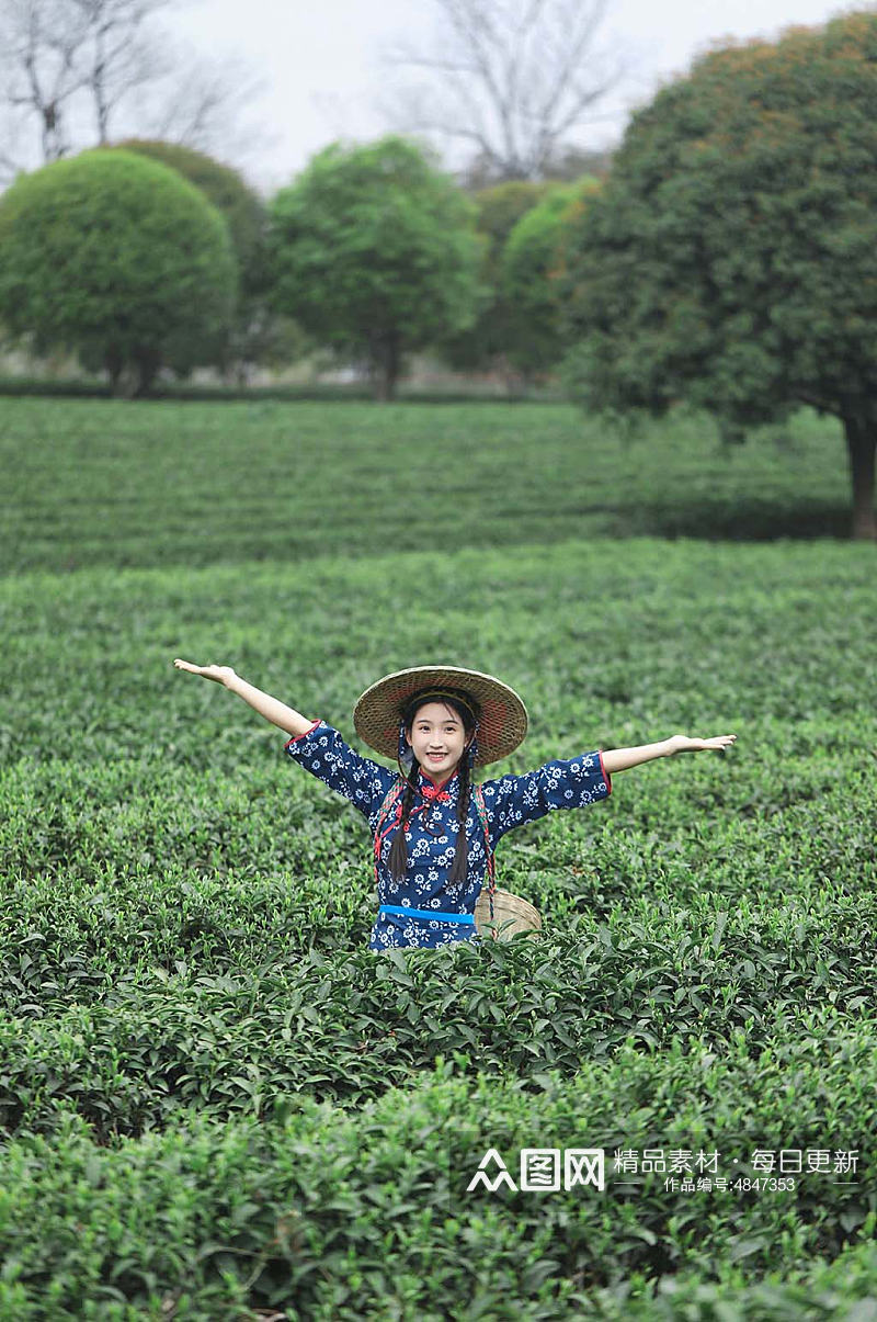 小清新茶叶春季茶园采茶少女人物摄影图素材