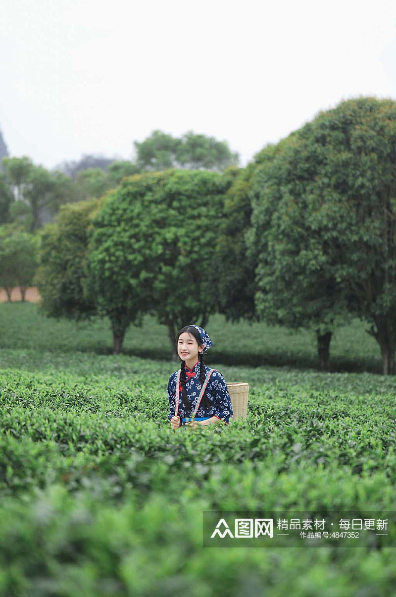 小清新茶叶春季茶园采茶少女人物摄影图素材