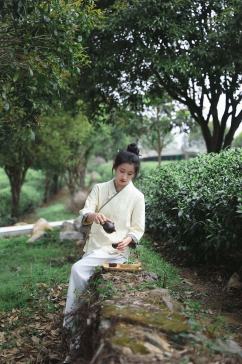古风采茶少女春季茶园沏茶泡茶茶文化人物摄影图片
