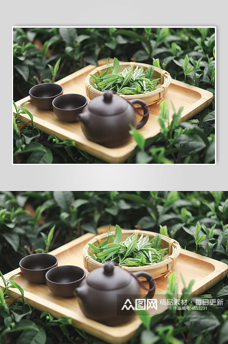 春季清新自然绿色茶香茶具茶叶摄影图片素材