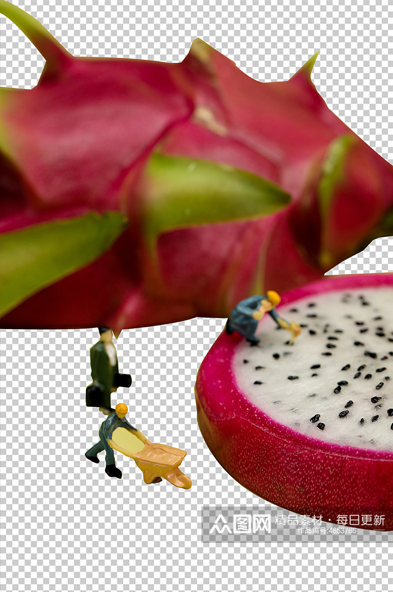 微缩小人火龙果切面水果PNG免抠摄影图素材