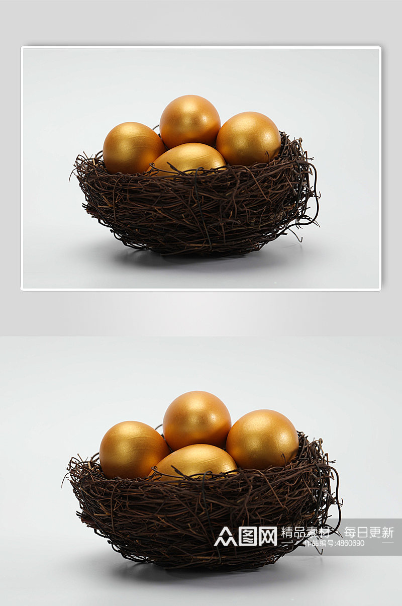 鸟巢金蛋储蓄货币金融保险物品摄影图片素材