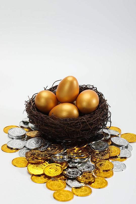 鸟巢金蛋储蓄货币金融保险物品摄影图片