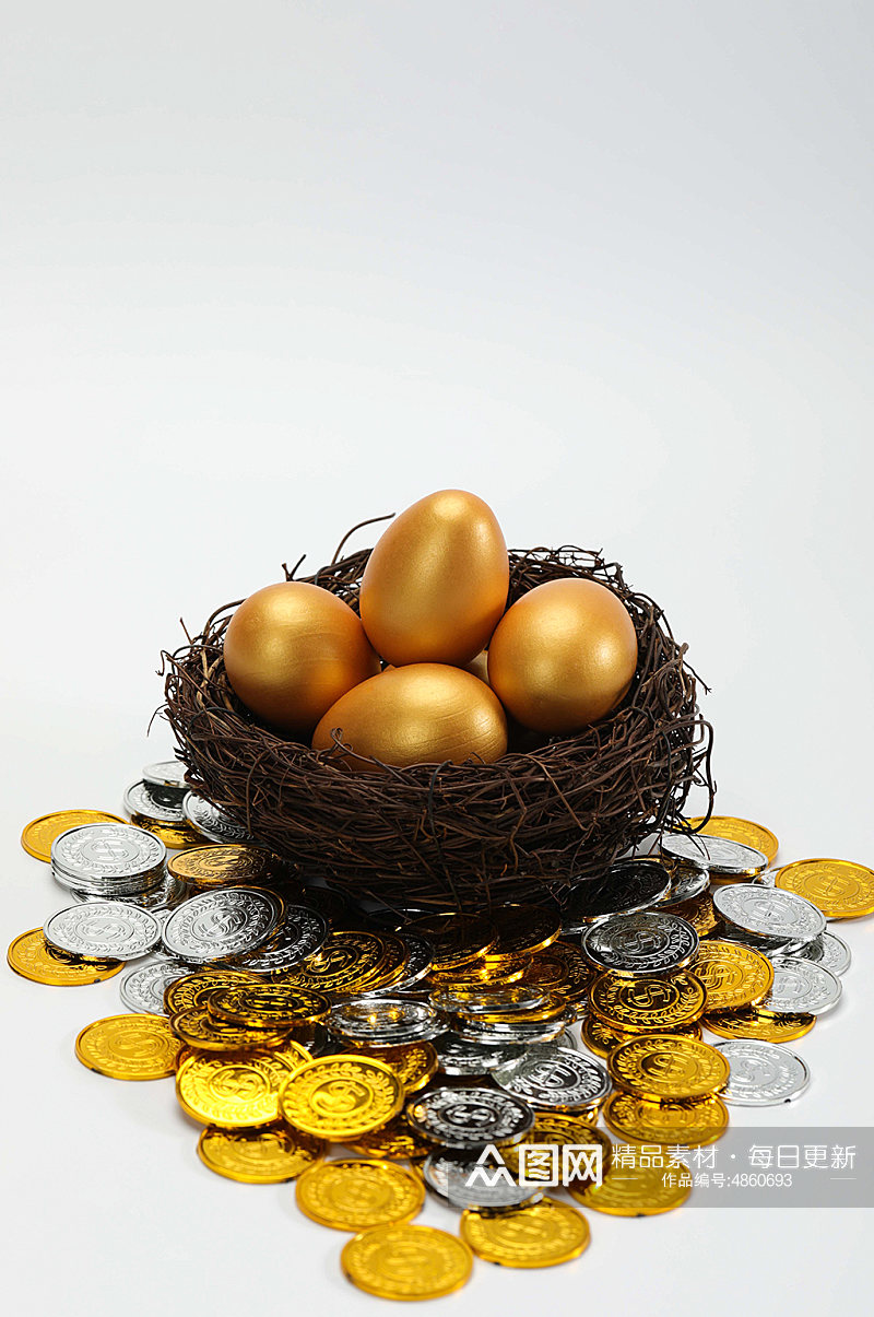 鸟巢金蛋储蓄货币金融保险物品摄影图片素材