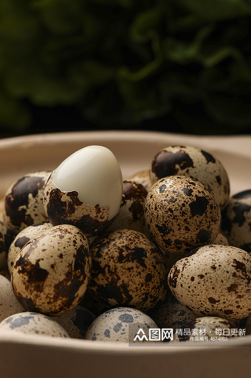 棕褐色斑点鹌鹑蛋食品蛋类食品摄影图素材