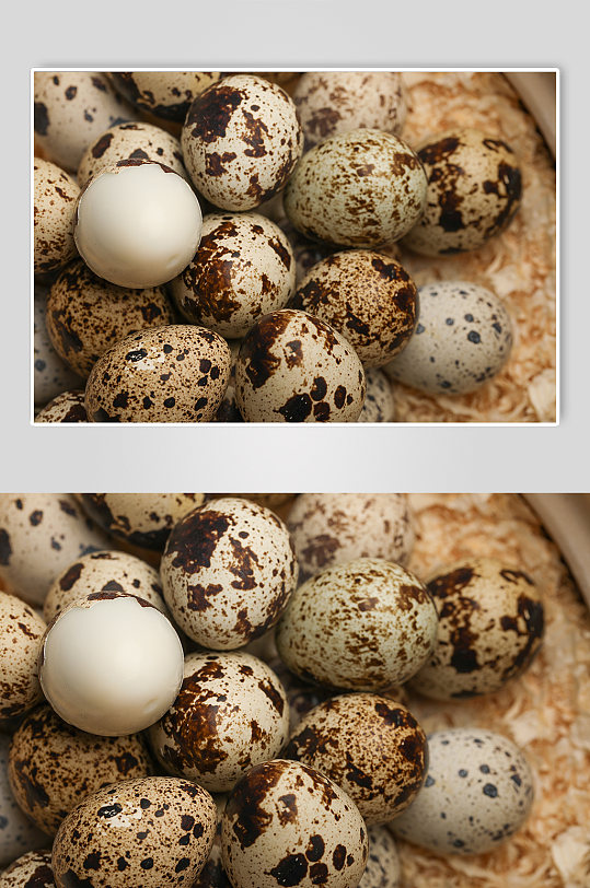 棕褐色斑点鹌鹑蛋食品蛋类食品摄影图片