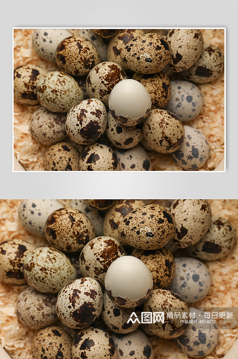 棕褐色斑点鹌鹑蛋食品蛋类食品摄影图片素材