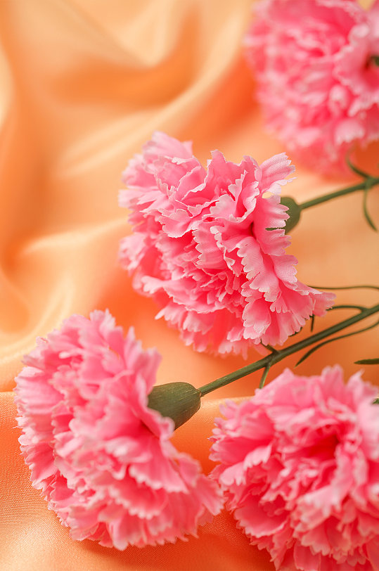 小清新风粉色康乃馨花朵母亲节物品摄影图片