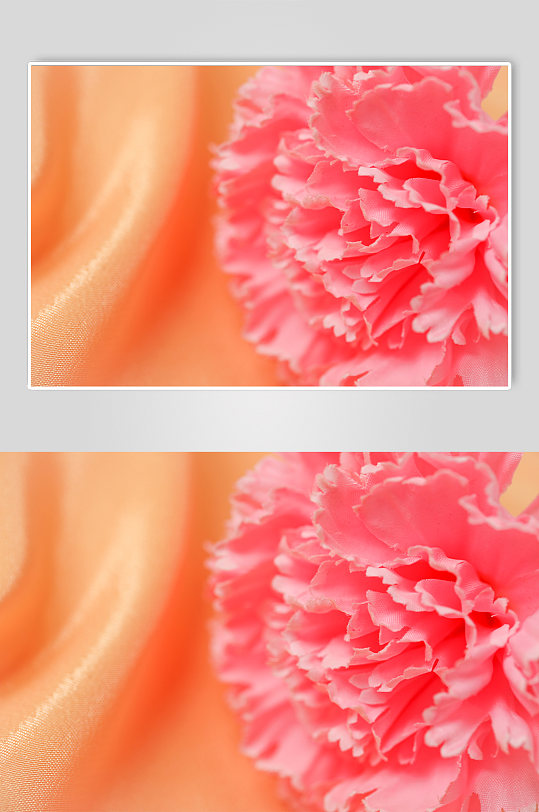 小清新粉色康乃馨花朵母亲节物品摄影图片