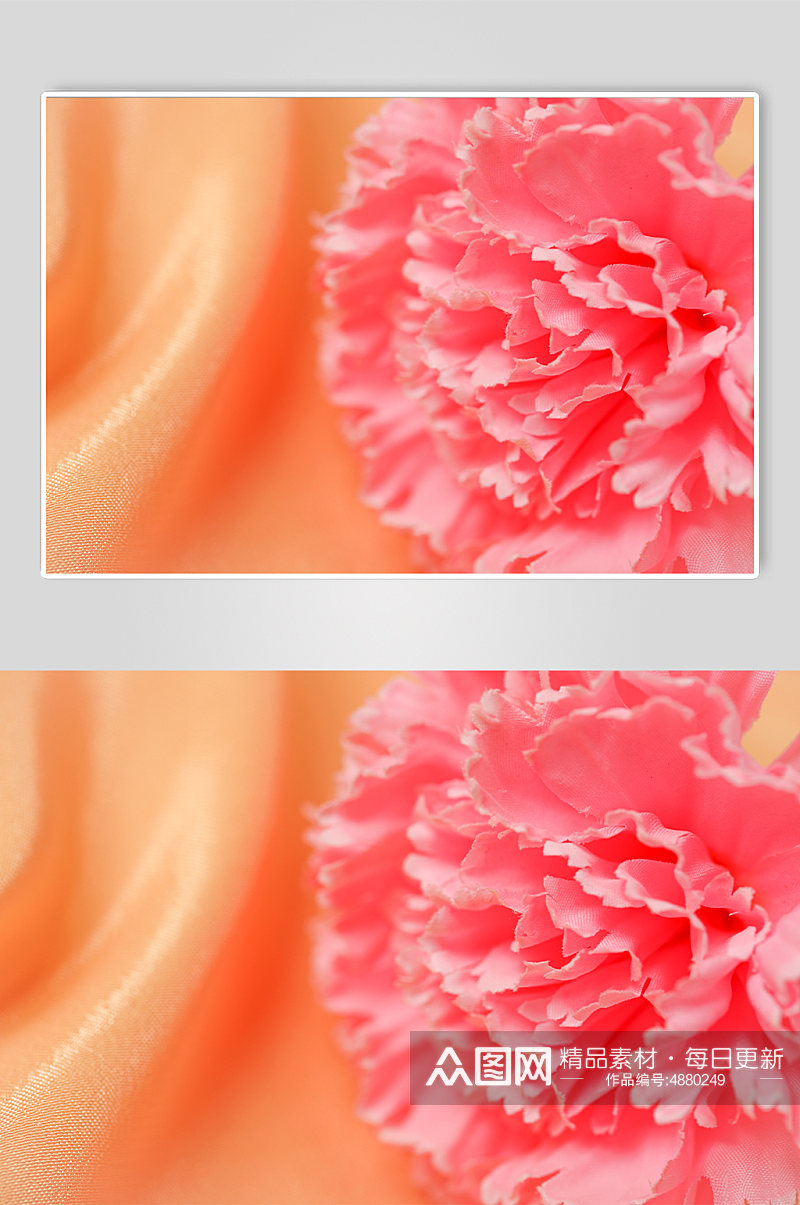 小清新粉色康乃馨花朵母亲节物品摄影图片素材