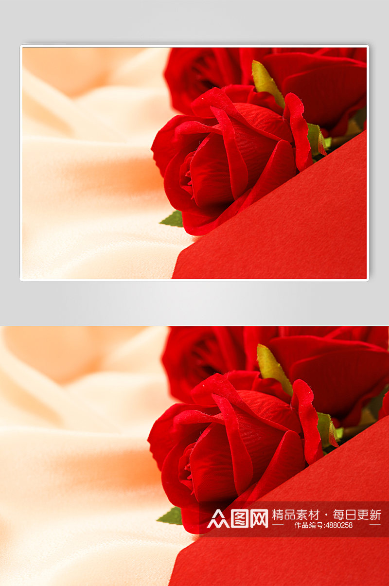 简洁红色玫瑰花特写母亲节物品摄影图片素材
