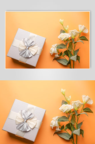 简洁奶白色康乃馨礼物盒母亲节物品摄影图片