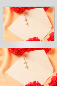 简洁红色康乃馨耳钉母亲节物品摄影图片