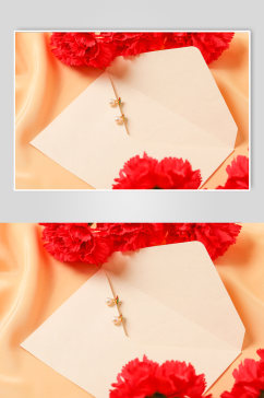 简洁红色康乃馨珍珠耳钉母亲节物品摄影图片