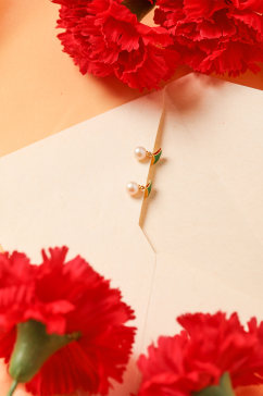 简洁红色康乃馨信封母亲节物品摄影图片