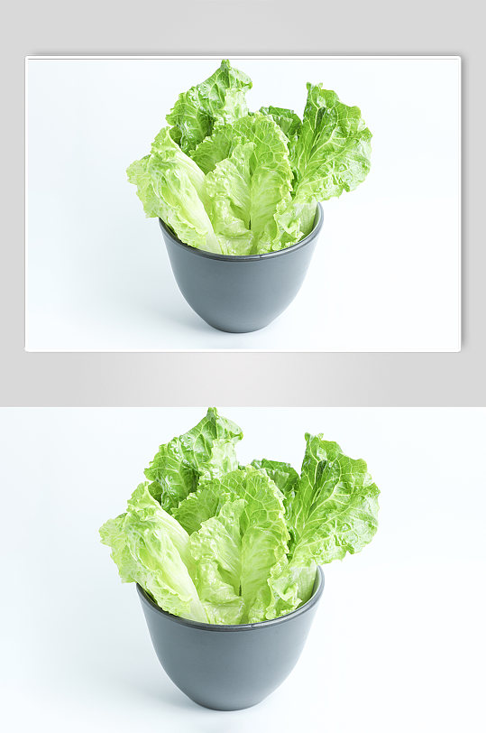 绿色生菜蔬菜食物美食摄影图片