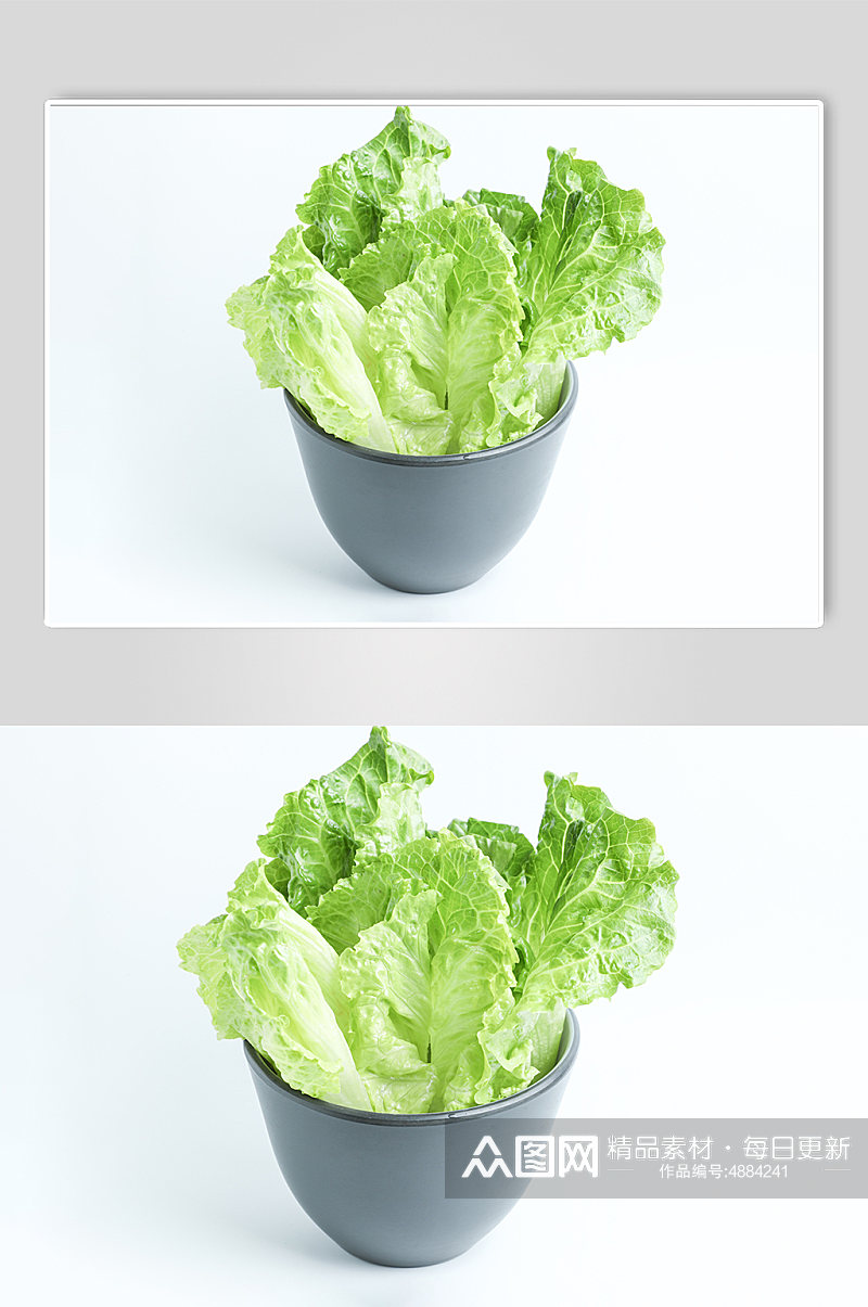 绿色生菜蔬菜食物美食摄影图片素材