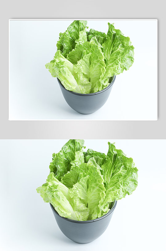 绿色生菜蔬菜食物美食摄影图片