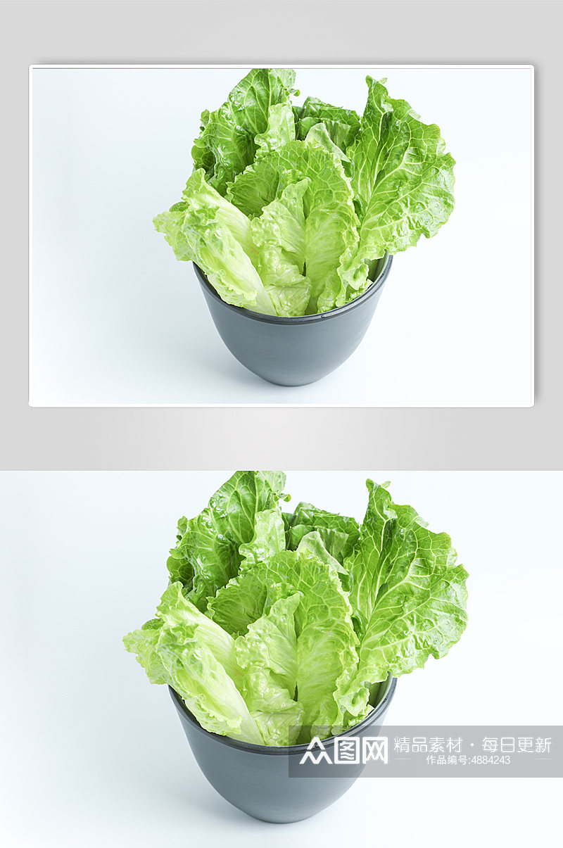 绿色生菜蔬菜食物美食摄影图片素材