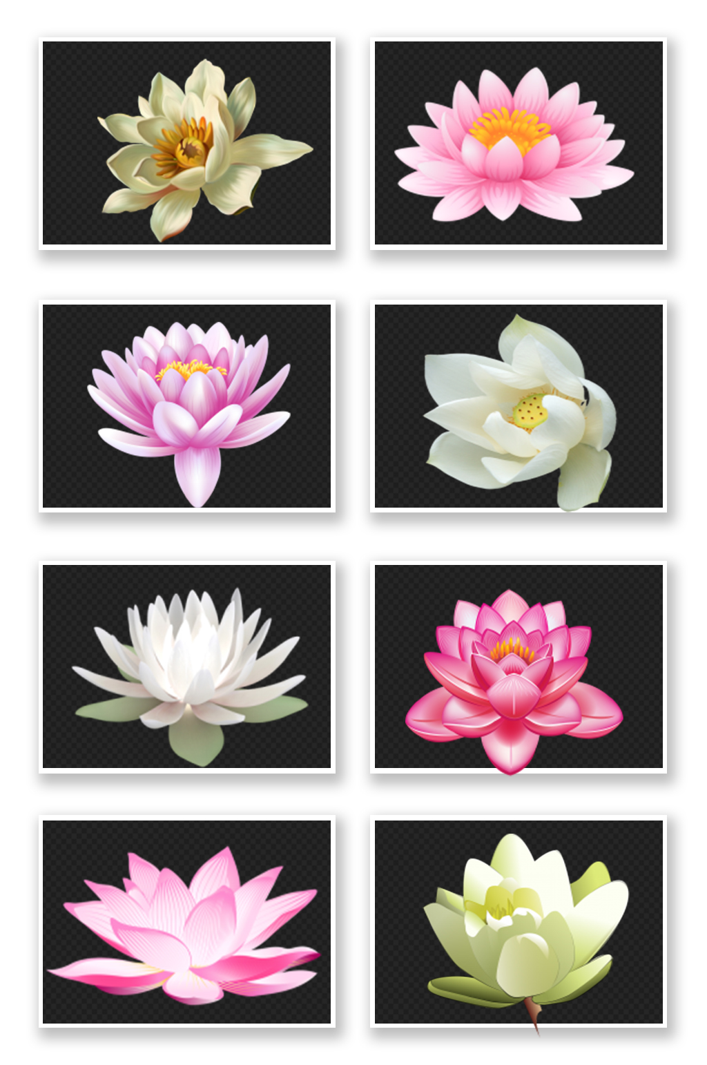 红蓮花白莲花设计元素素材素材